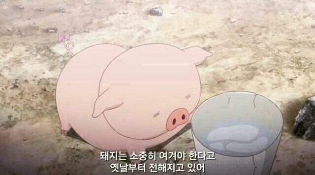풍